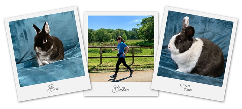 A collage of three Polaroid-style photos. The left photo shows a black and white Netherland Dwarf rabbit named Bee sitting on a teal throw. The middle photo is a woman named Bethan running on a sunny day. The right photo shows a grey and white Dutch rabbit named Fern, also sitting on a teal throw.