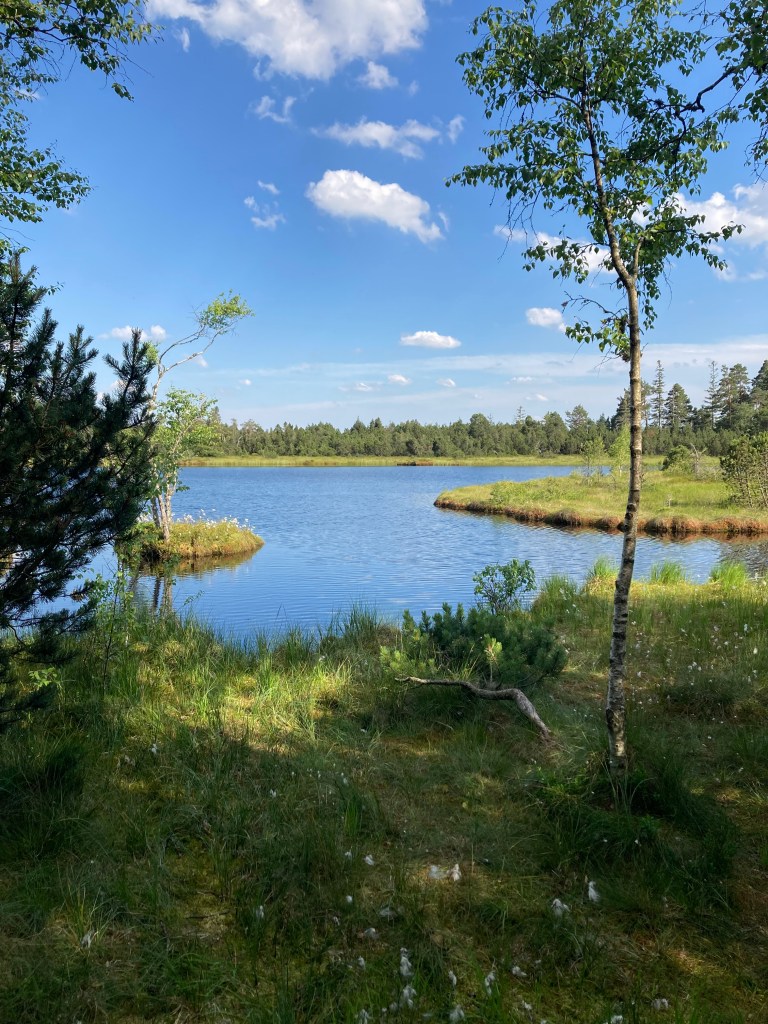 A picture of the German countryside with a lake and a forest in the background.