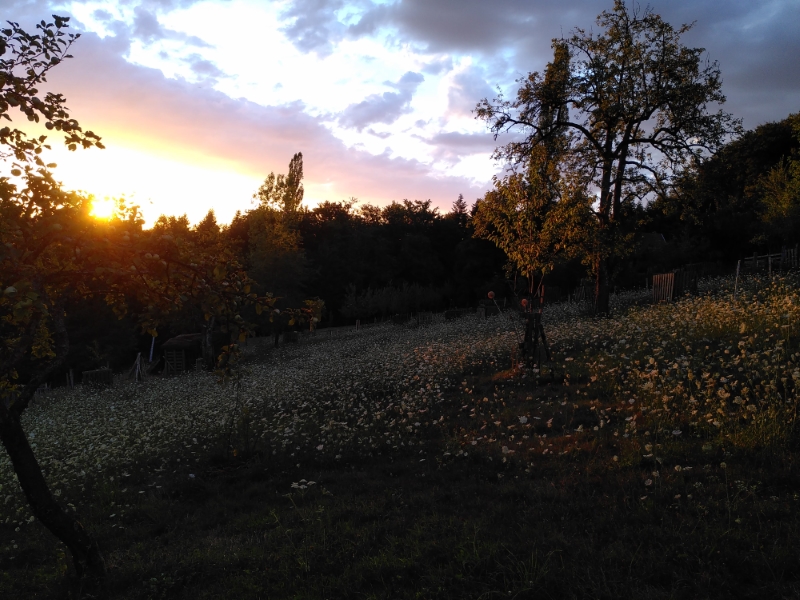 A day in the life of Annika&nbsp;Tisserant